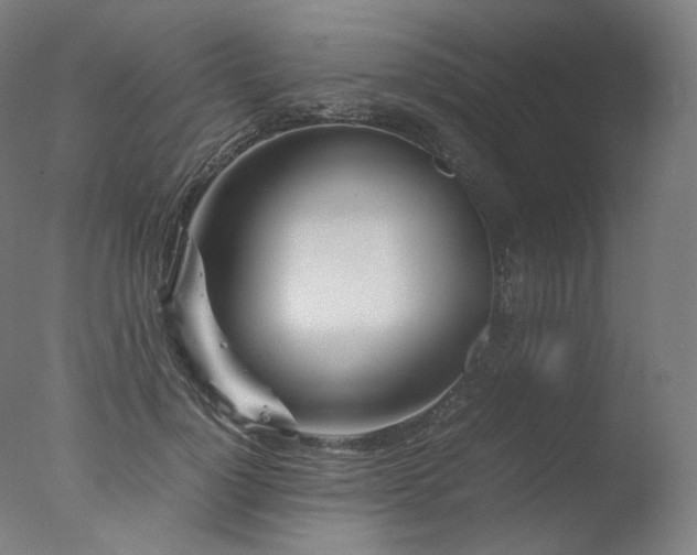 X0000077360748200610201322