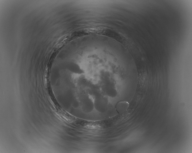 X0000077360749200610201322