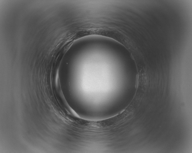 X0000077360750200610201322