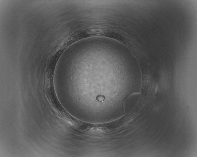 X0000077360751200610201322