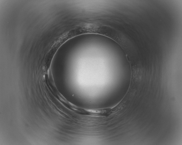 X0000077360752200610201322