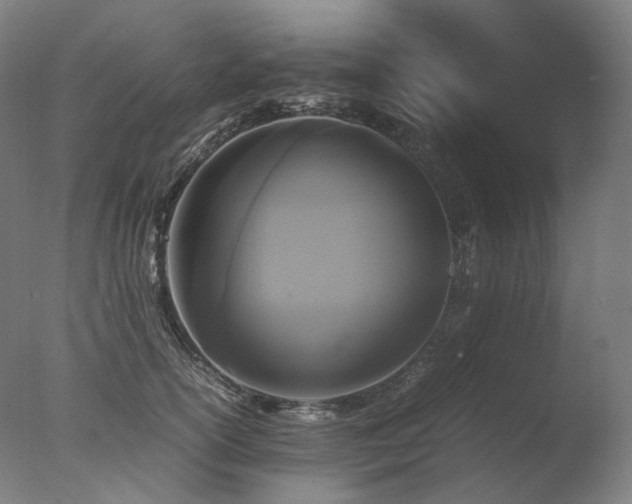 X0000077360754200610201322