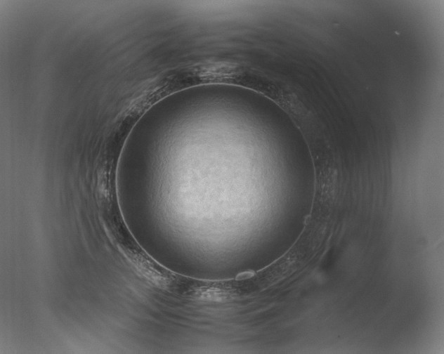 X0000077360755200610201322