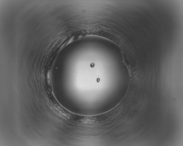 X0000077360756200610201322