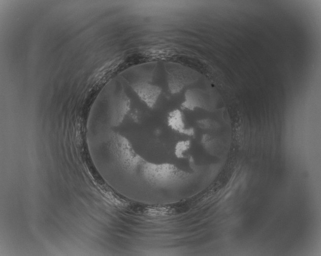 X0000077360757200610201322