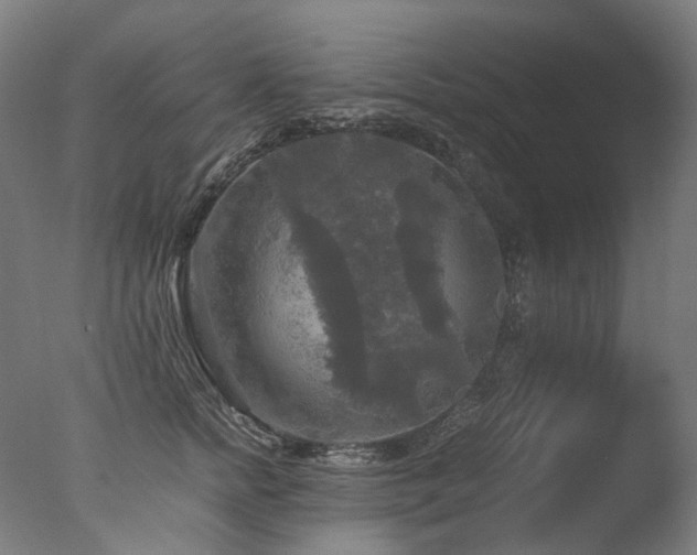 X0000077360758200610201322