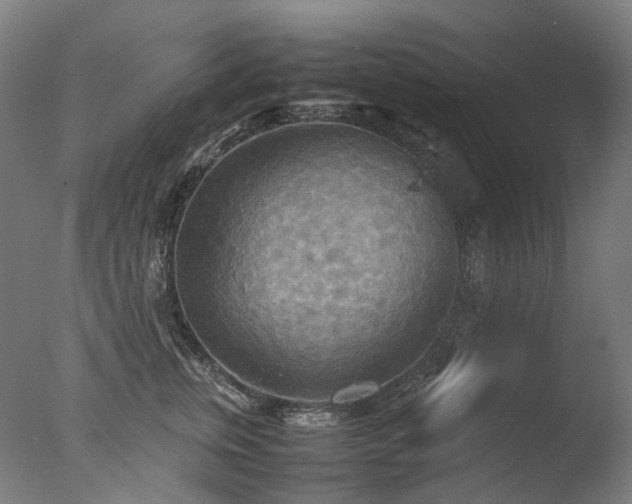 X0000077360759200610201322