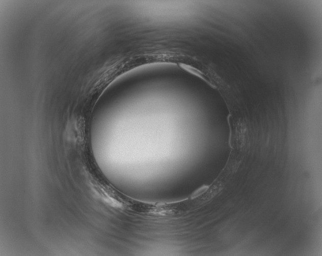 X0000077360760200610201322