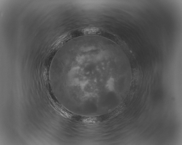 X0000077360761200610201322