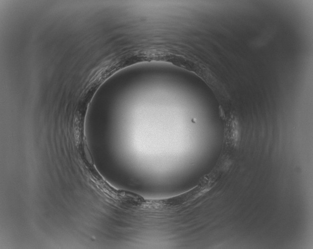 X0000077360762200610201322