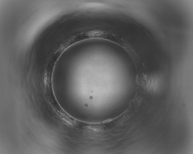 X0000077360763200610201322