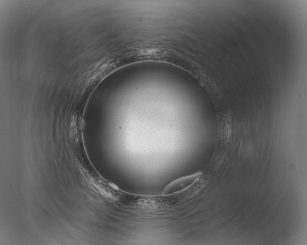 X0000077360764200610201322