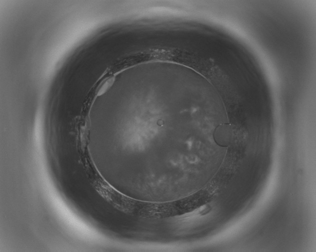 X0000077360765200610201322