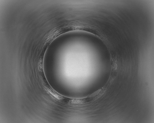 X0000077360766200610201322