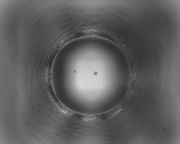 X0000077360767200610201322