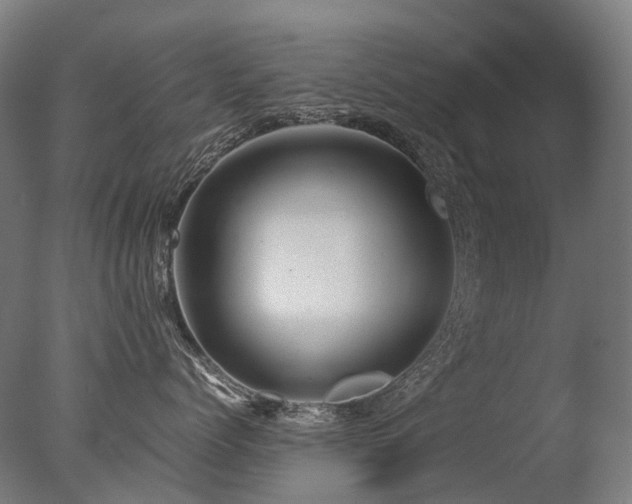 X0000077360768200610201322