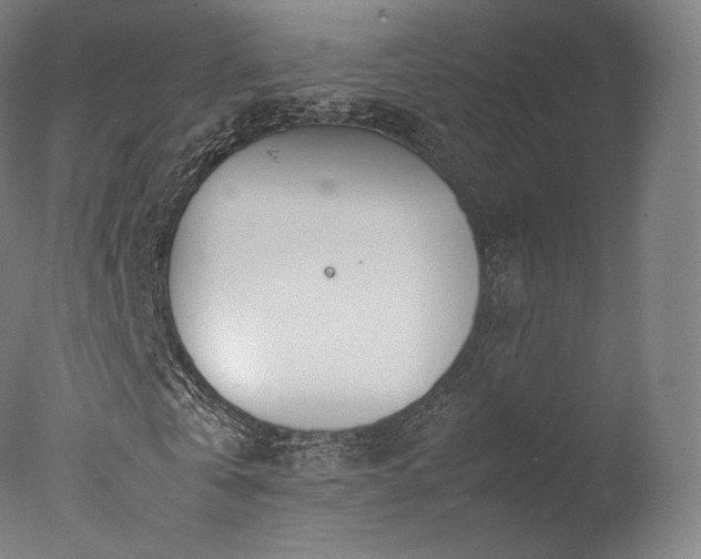 X0000077360769200610201321