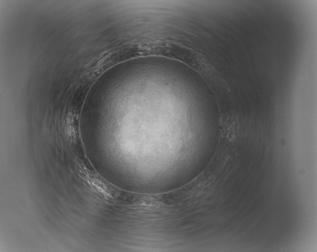 X0000077360770200610201321