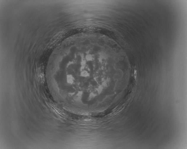 X0000077360771200610201321