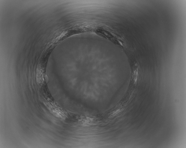 X0000077360772200610201321