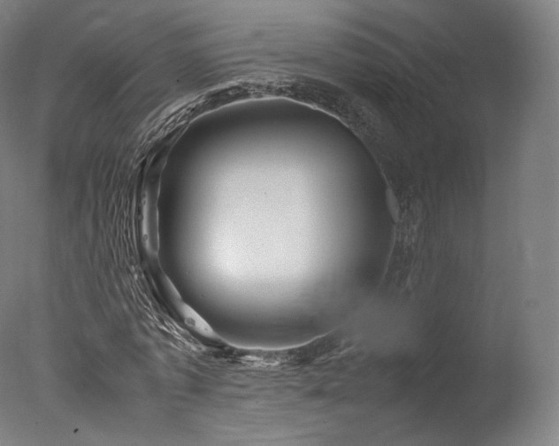 X0000077360773200610201321