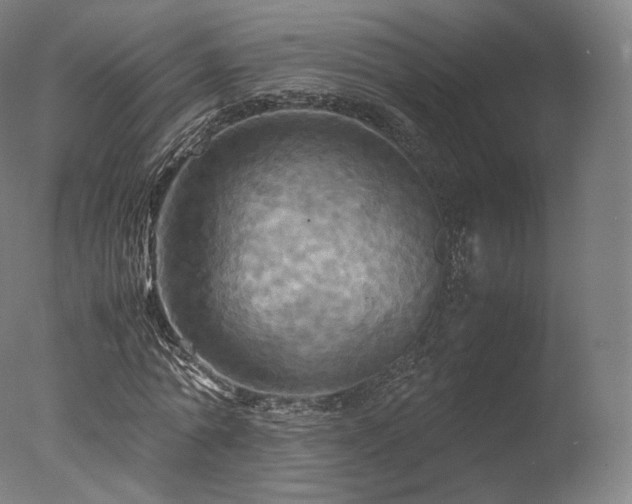 X0000077360774200610201321