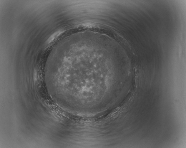 X0000077360776200610201321