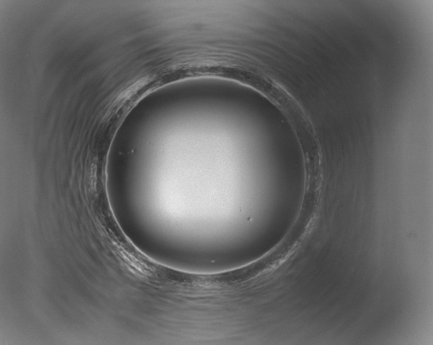 X0000077360777200610201321