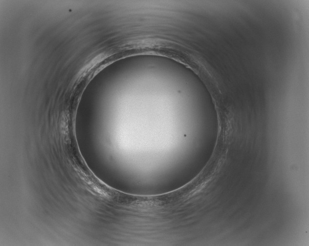 X0000077360778200610201321