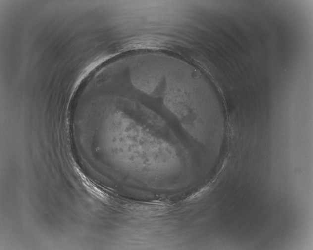 X0000077360779200610201321