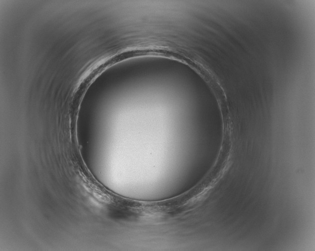 X0000077360781200610201321