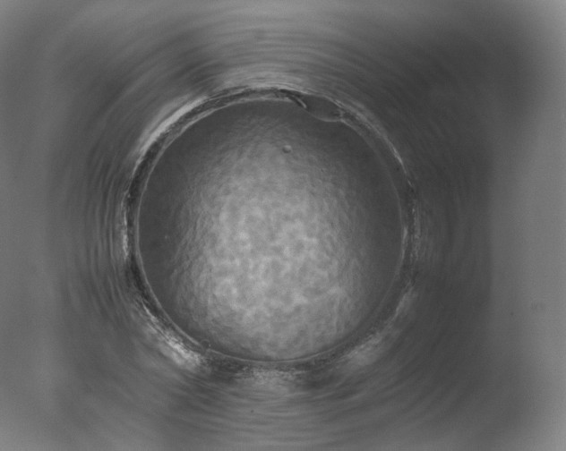 X0000077360782200610201321