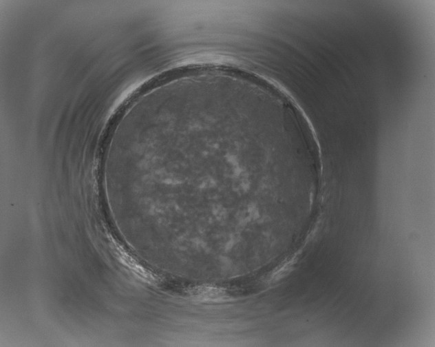 X0000077360783200610201321