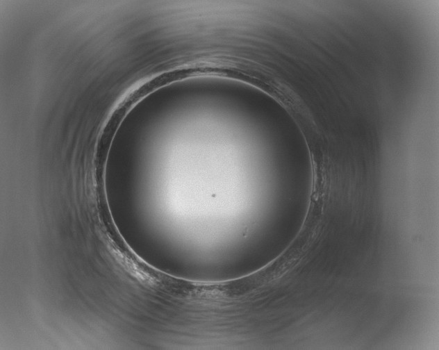 X0000077360784200610201321