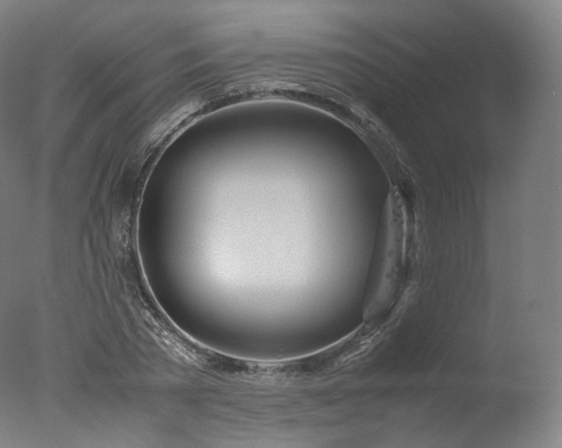 X0000077360785200610201321