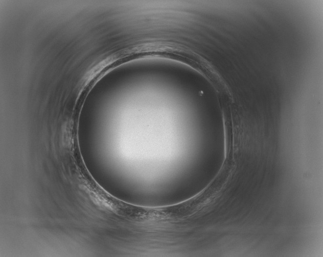 X0000077360786200610201321