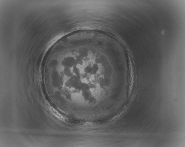 X0000077360787200610201321