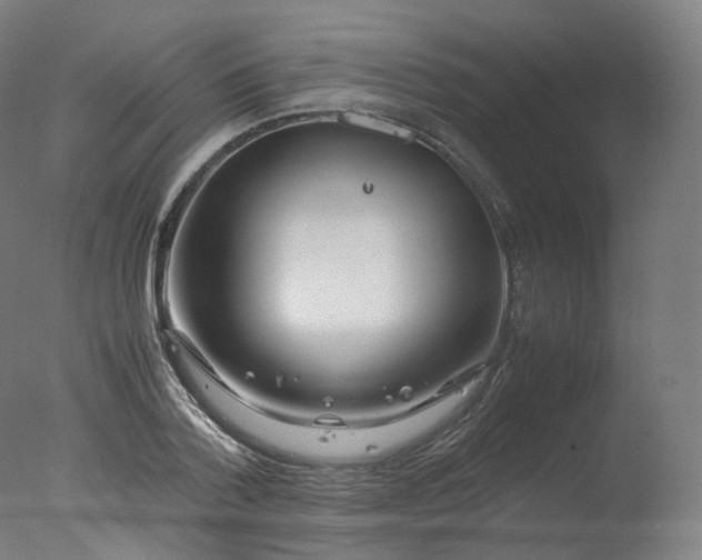 X0000077360788200610201321