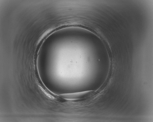 X0000077360789200610201321