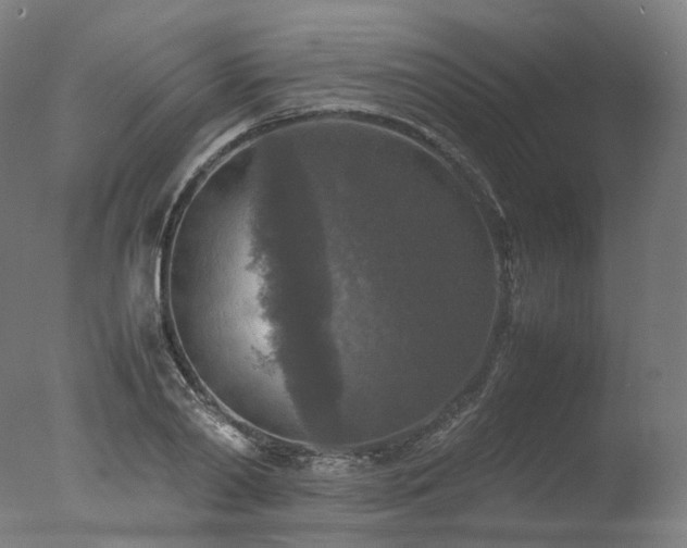 X0000077360790200610201321