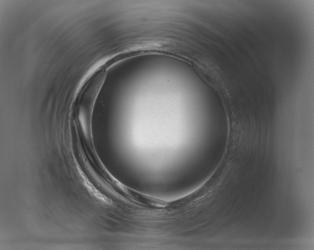 X0000077360792200610201321