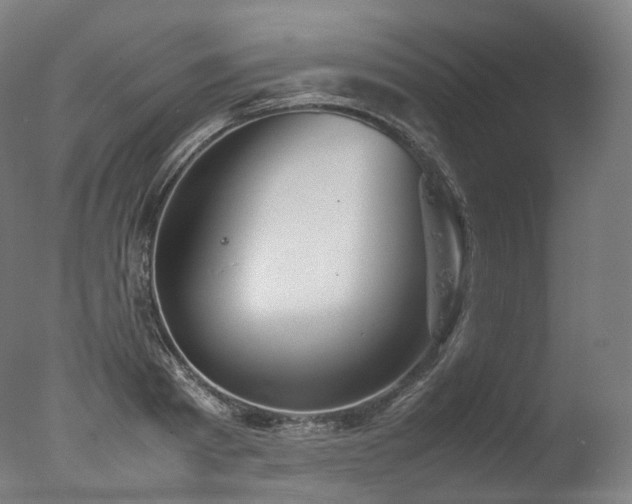 X0000077360793200610201321