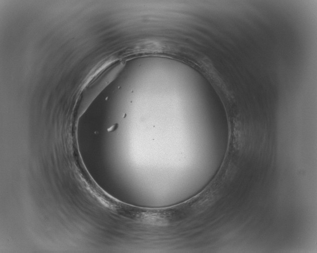 X0000077360794200610201321