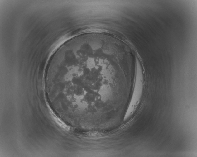 X0000077360795200610201321