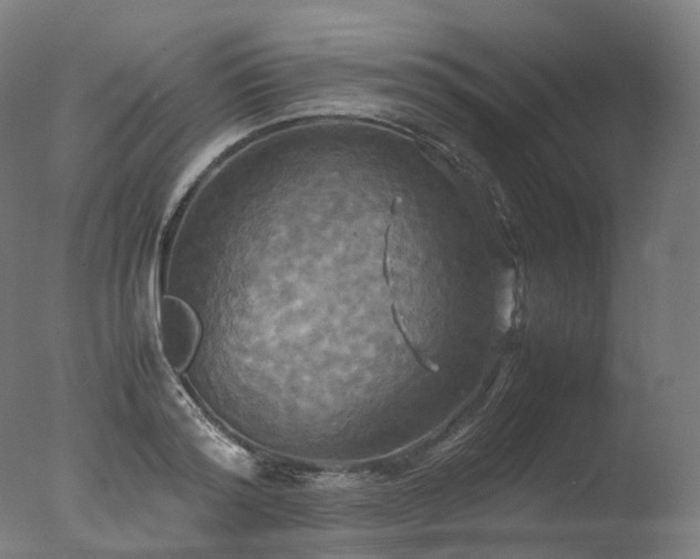 X0000077360796200610201321