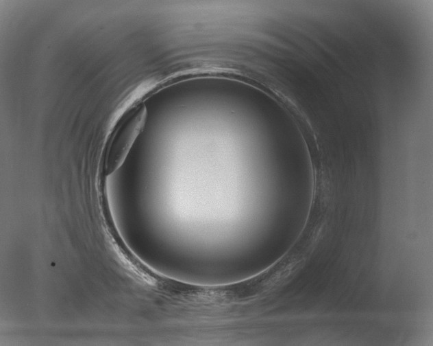 X0000077360797200610201321