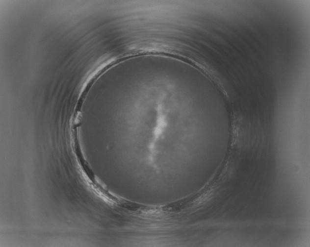 X0000077360798200610201321