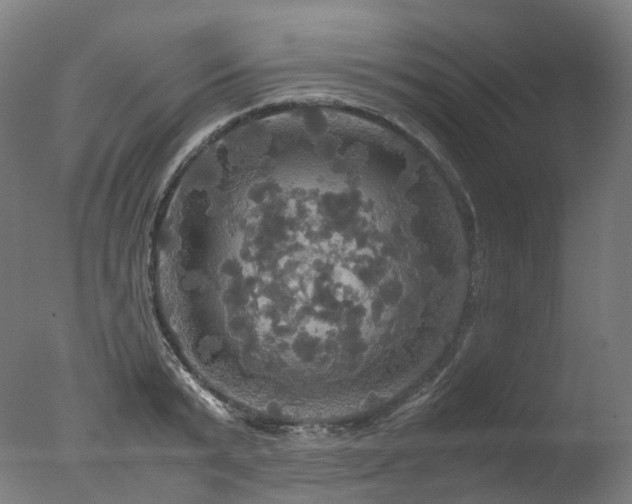 X0000077360799200610201321