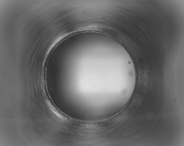 X0000077360800200610201321