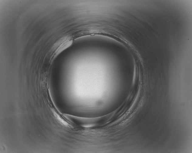 X0000077360801200610201321